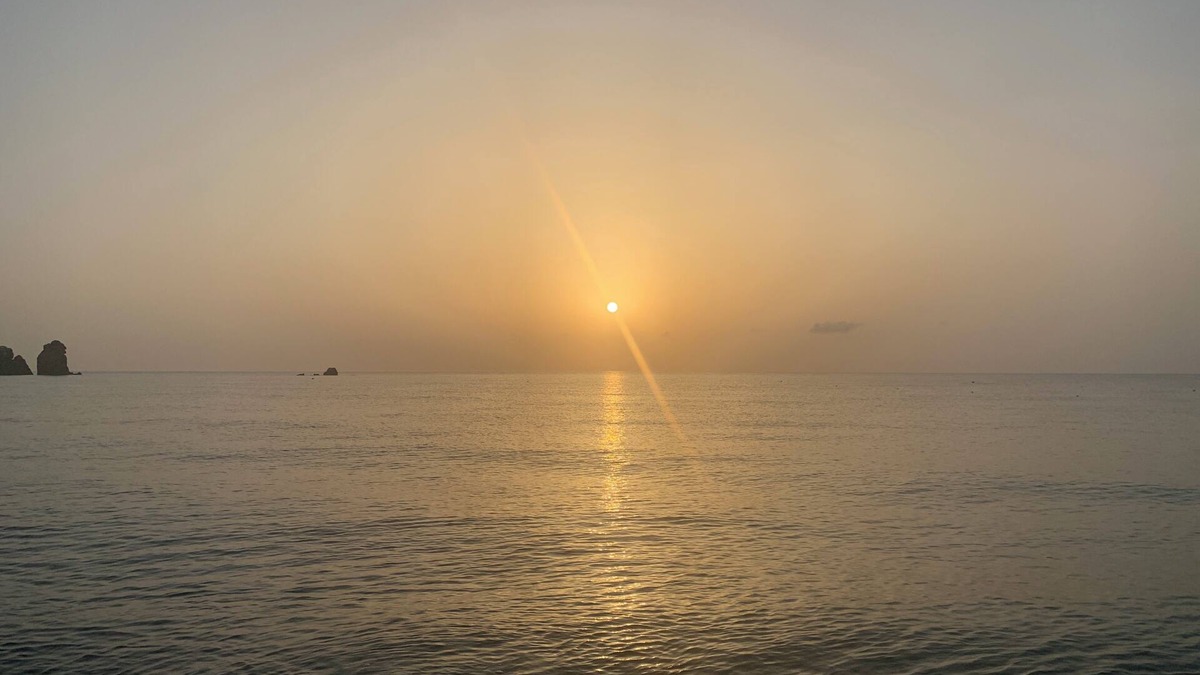 Amantea Apartment | Cozy apartment also suitable for families, with sea view