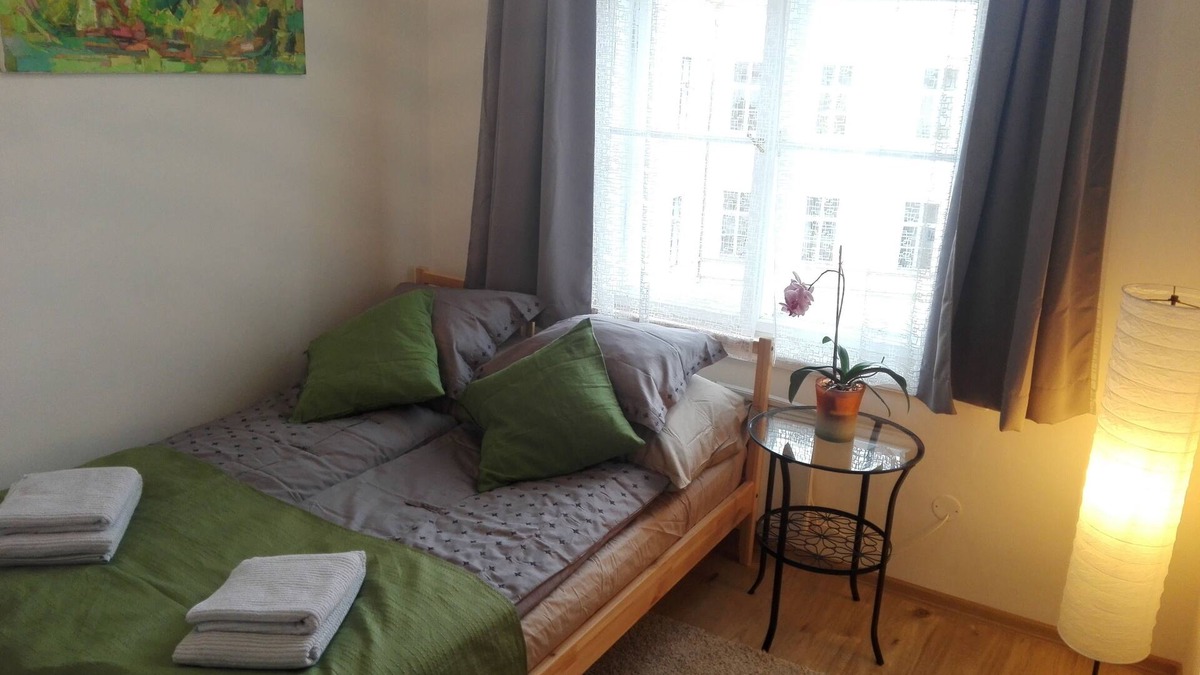 Zizkov Apartment | COZY APARTMENT NEJEDLEHO