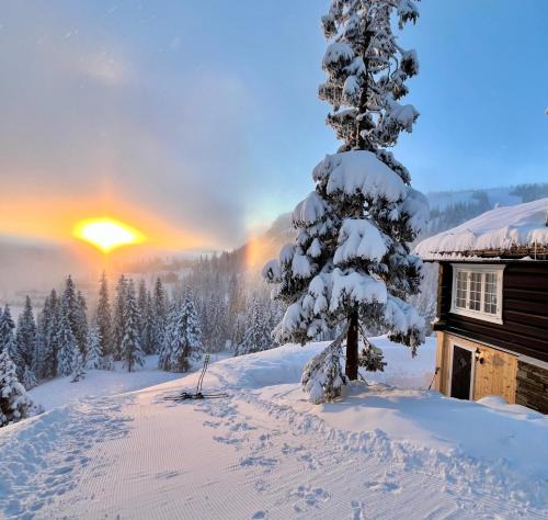 Hundorp Apartment | Cozy cabin apartment, ski-in ski-out at Kvitfjell