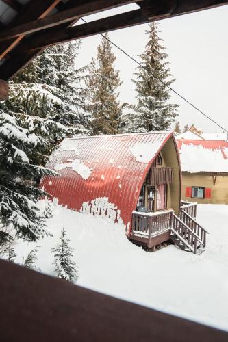 Rossland Ski Chalet | Cozy Cabin at RED - Steps to Skiing & Trails