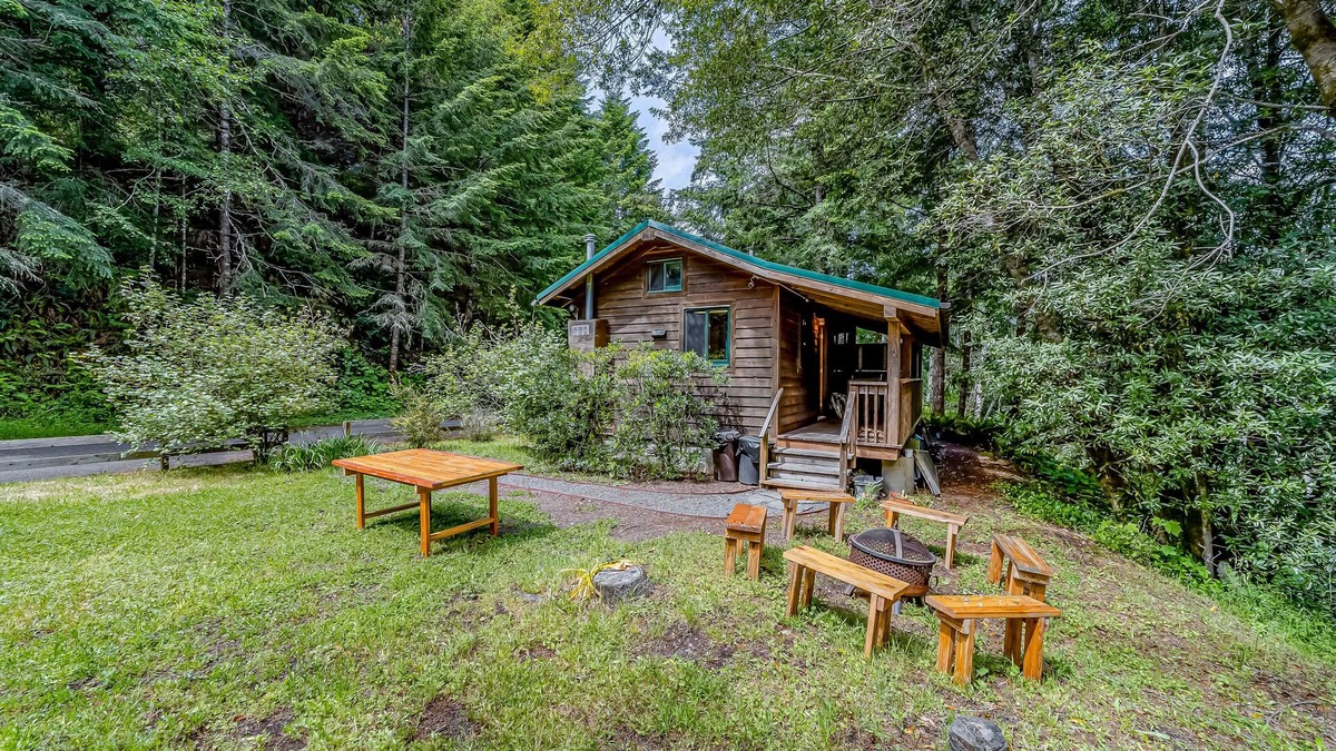 Shelter Cove Cabin | Cozy cabin, family-friendly, with fishing, washer/dryer, patio, & WiFi
