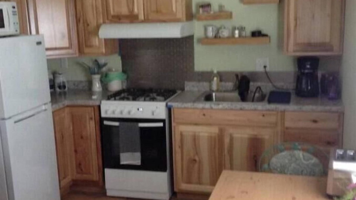 Springfield Cabin | Cozy cabin in charming Rogersville area with WiFi, AC. Rural