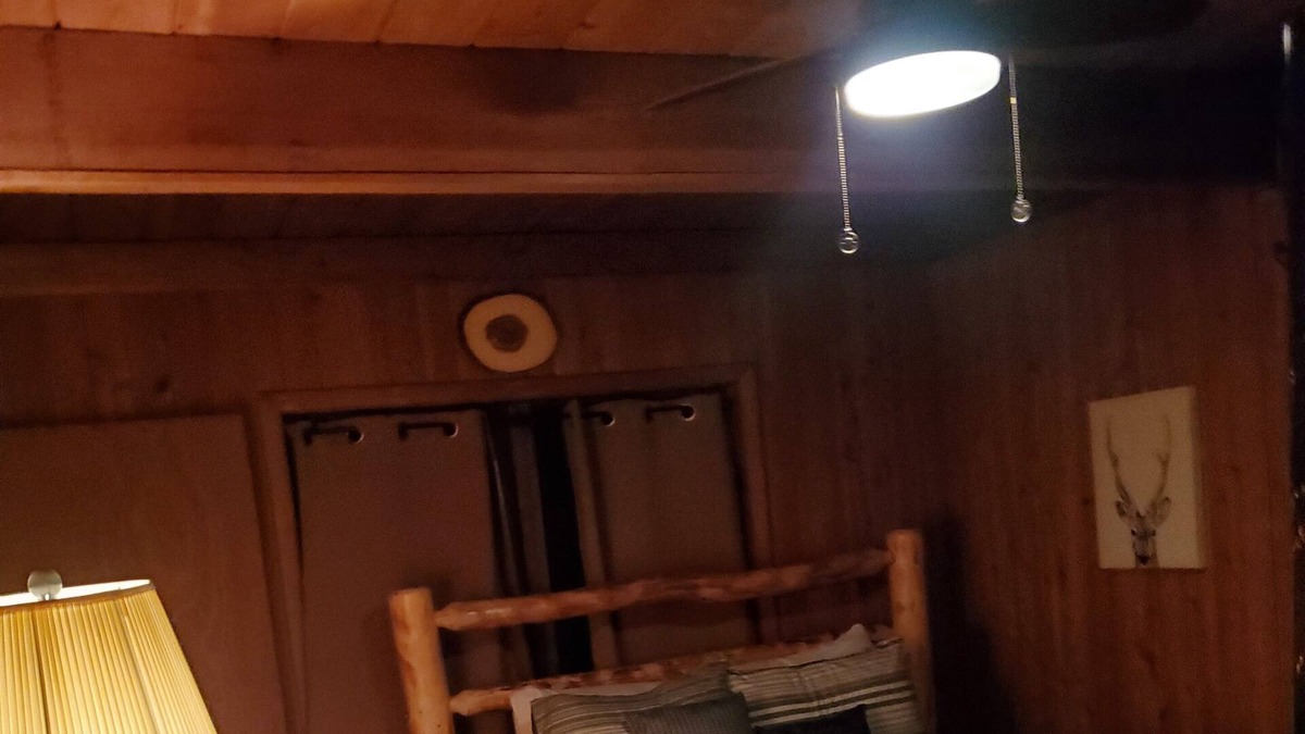 Woodland Drives Cabin | Cozy Cabin Surrounded by Nature
