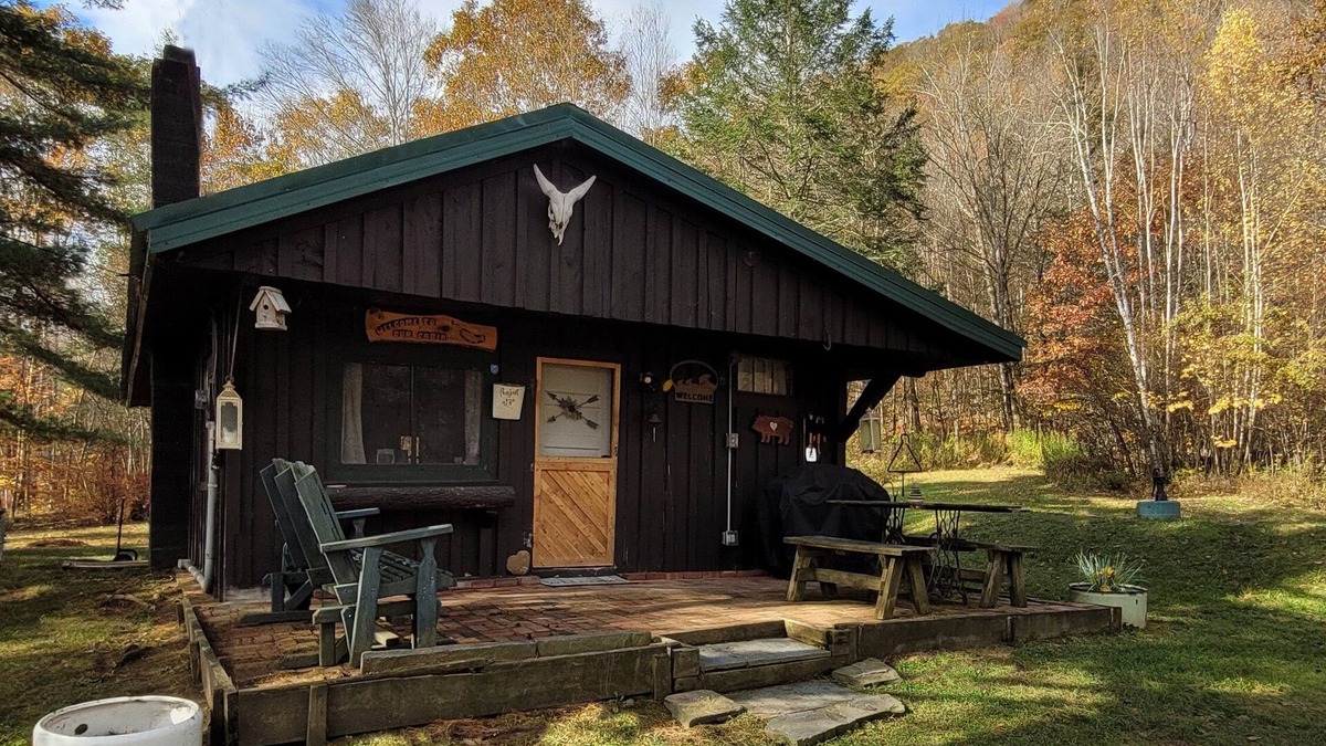 Shinhopple Cabin | Cozy Catskills Cabin: Your perfect rustic getaway - Pet friendly