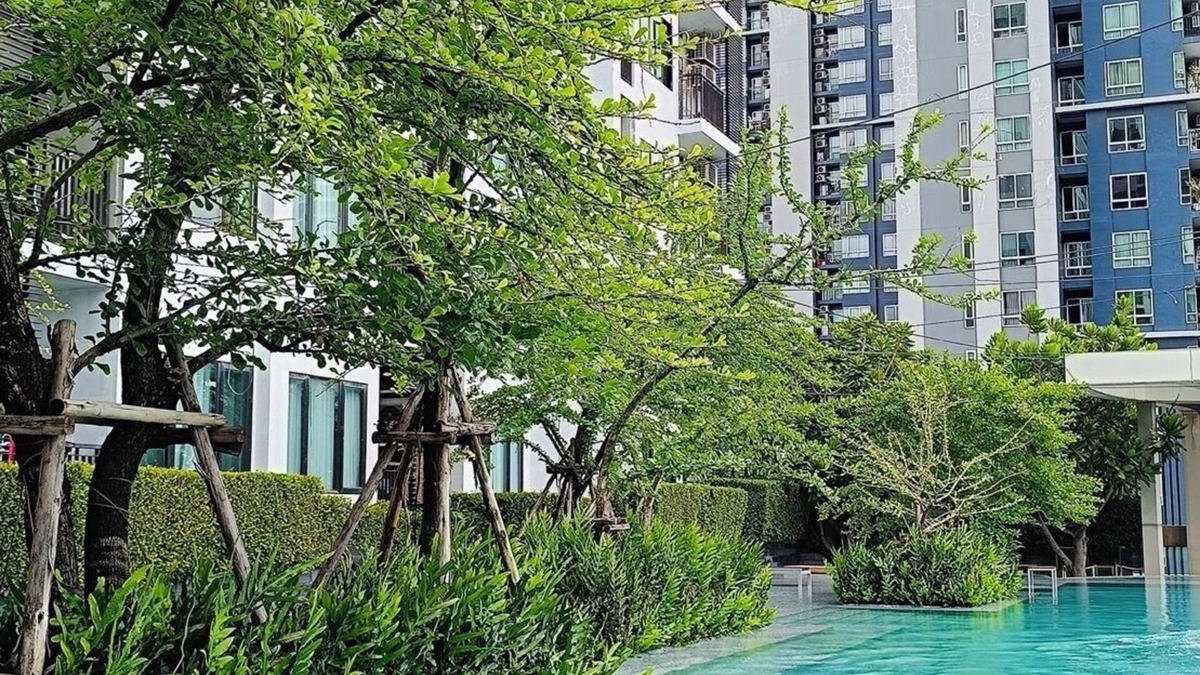 Phra Khanong Nuea Condo | Cozy & Clean 1BR Poolside Room in Prime Area, On Nut, with Free-Wifi