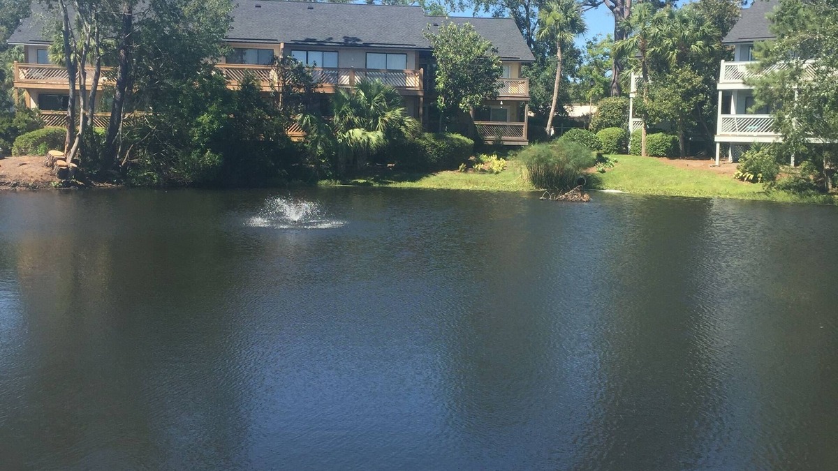 Saint Simons Heights Condo | Cozy Condo! Minutes away from several shops and restaurants.
