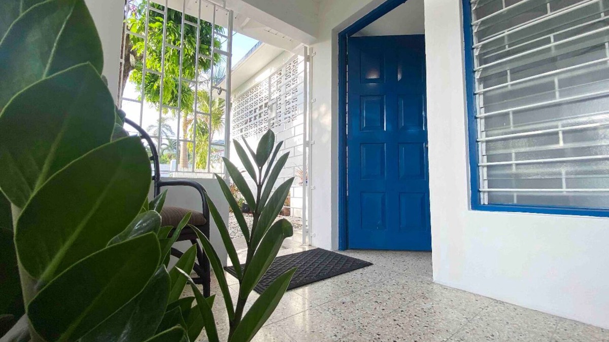 Saint Andrew Condo | Cozy, cool , central one bedroom flat in Uptown Kingston