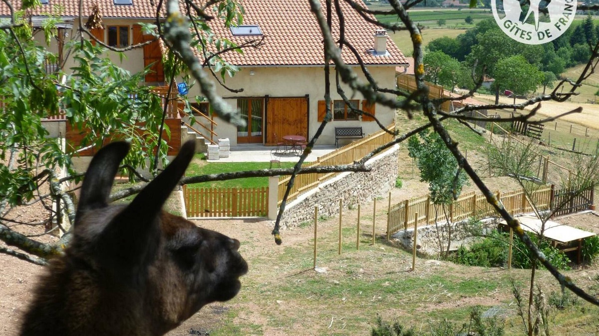 Saint-Andre-dʼApchon Apartment | Cozy cottage with spa and sauna - Pets allowed