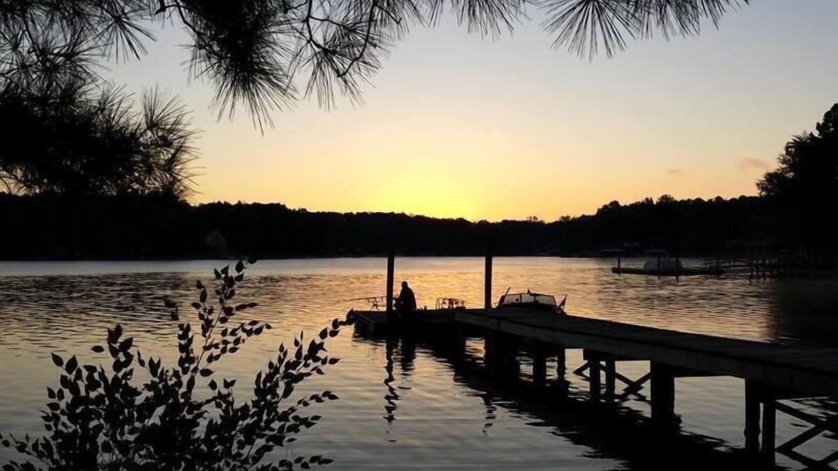 Mayhew House | Cozy Cottage: 180’ Shoreline, Panoramic View of Cove & Lake; Pet Friendly, WiFi.