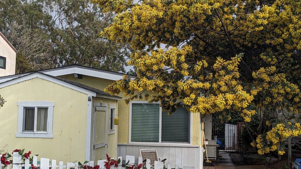 Baywood-Los Osos House | Cozy Cottage in Quiet Community.