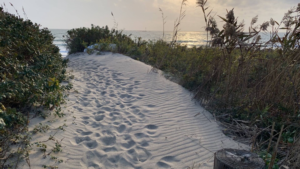 Breakwater Village Cottage | Cozy Cottage - Ocean Views- Steps away from private beach