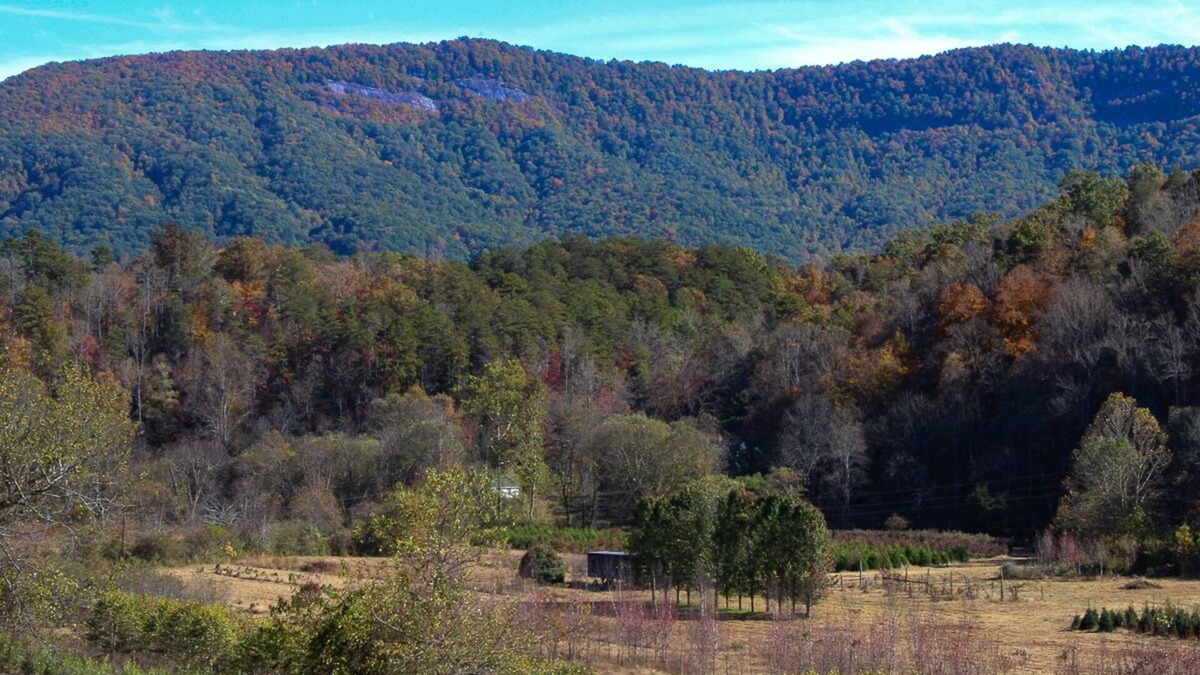 Old Fort House | Cozy Country 3/2 w/shared outdoor fire-pit, playground & water access (Pets OK!)