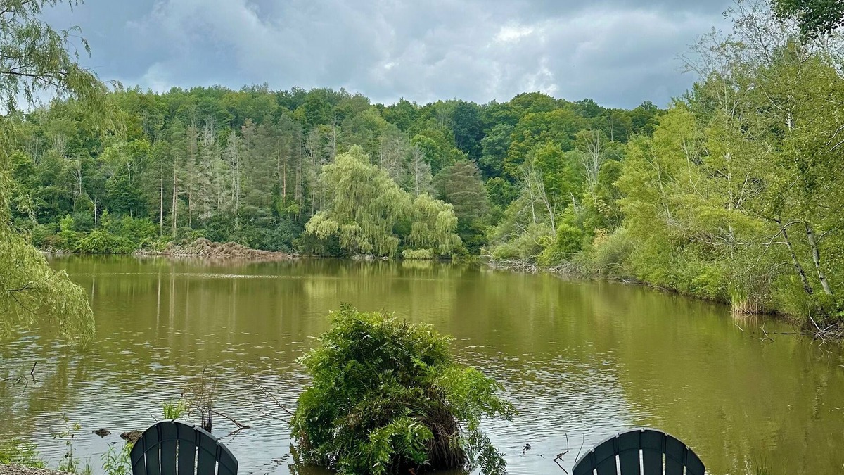 Cameron Cabin | Cozy Couple’s Cabin