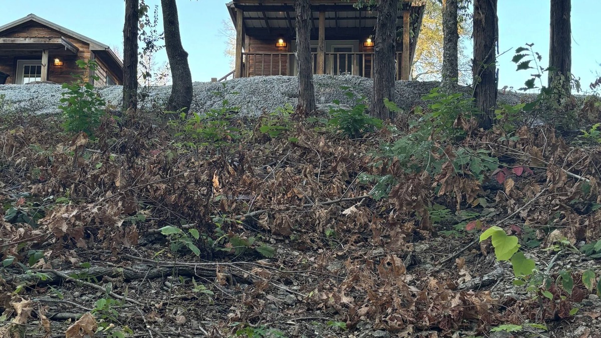 Fort Towson Cabin | Cozy Creek cabin in charming Fort Towson with WiFi access