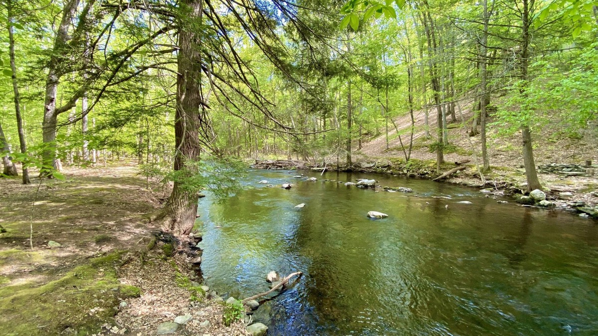 Bushkill House | Cozy Forest Creekside Home: jacuzzi, fireplace, firepit+