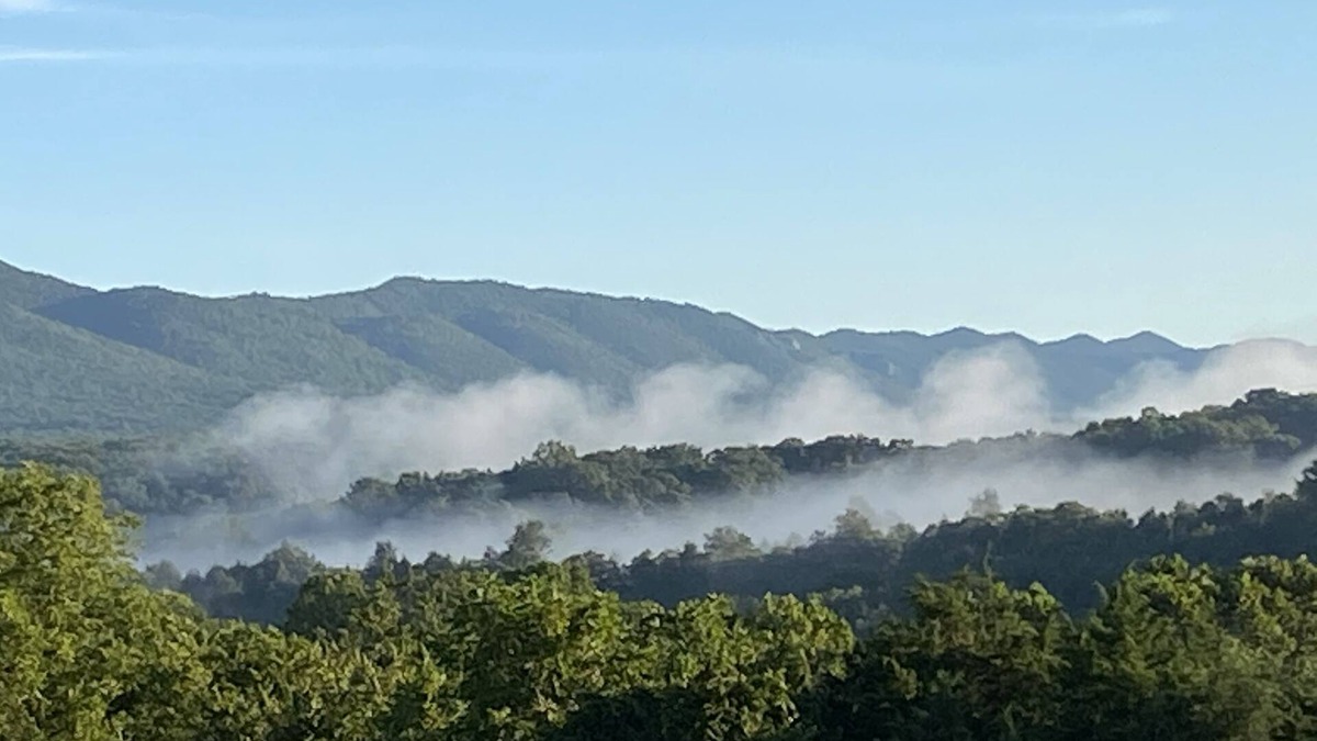 Luray Cabin | Cozy Home in Luray: Perfect for Hiking, Fishing, and Camping Lovers!