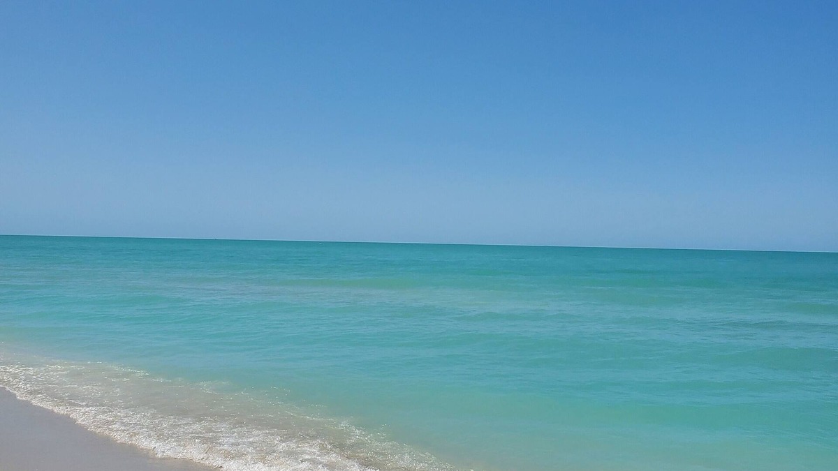 Gulf Cove House | Cozy home just 15 minutes from beautiful Boca Grande beaches
