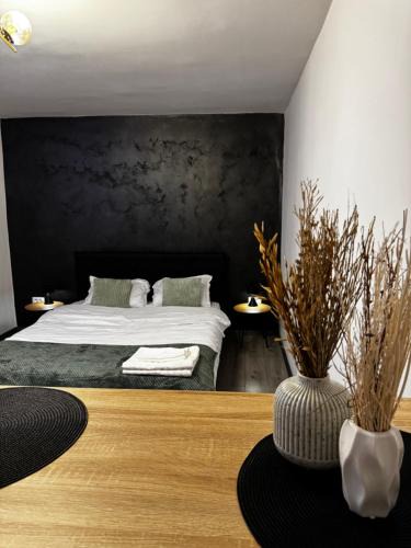 Petrosani Apartment | Cozy Home Studio