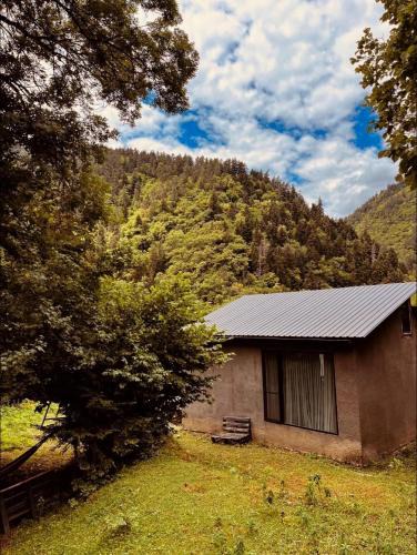 Likani Villa | Cozy house in the forest