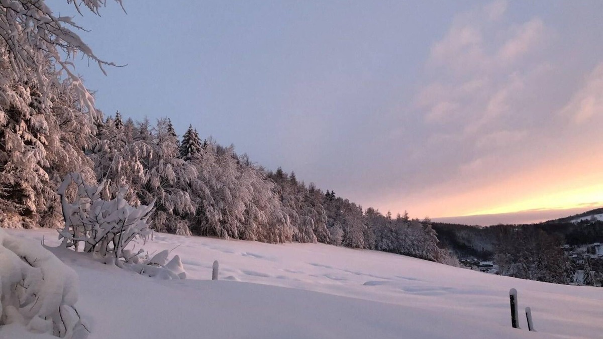 Geising House | Cozy house in the middle of nature, fully equipped, pet friendly