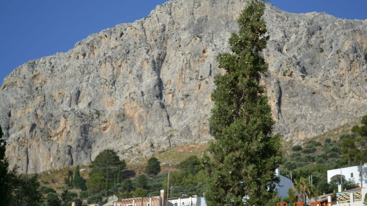 Kamari House | cozy kalydna house!