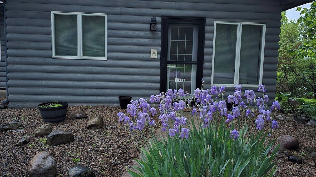 Berrien Springs House | Cozy Lake Chapin Guest House, Two Bedroom, One Bath Quiet Peaceful Setting