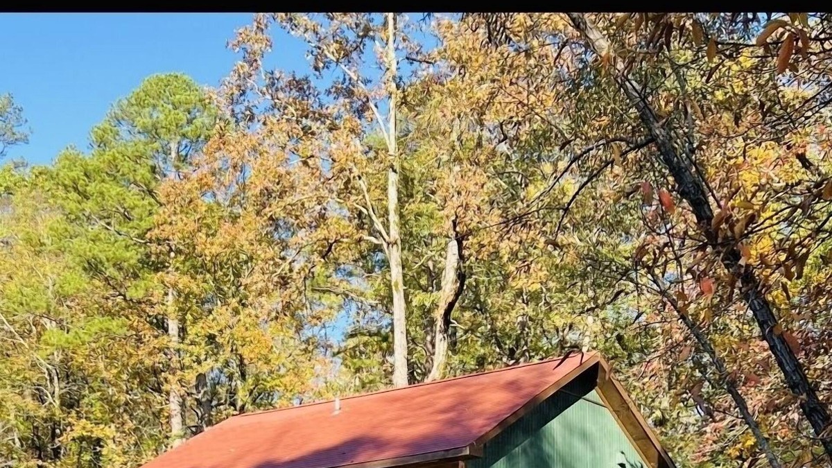 Ferndale Cabin | Cozy little Cabin in Little Rock