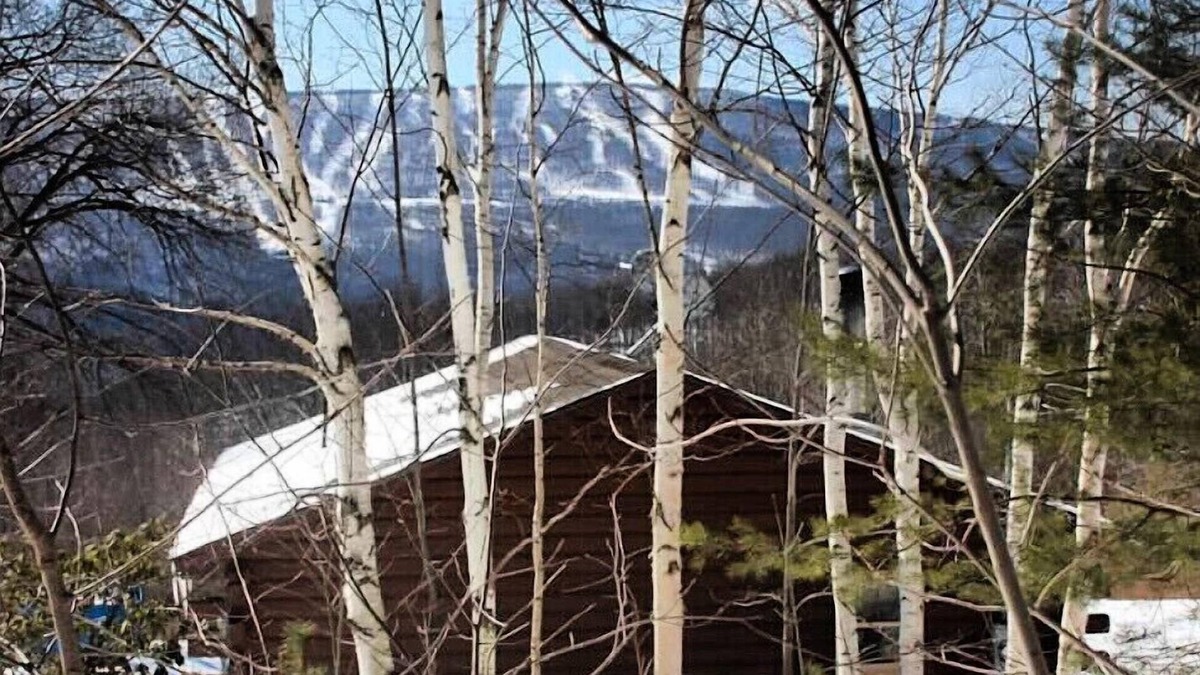 Pine Hill Cabin | Cozy Log Cabin in the Catskills Belleayre Ski Mountain