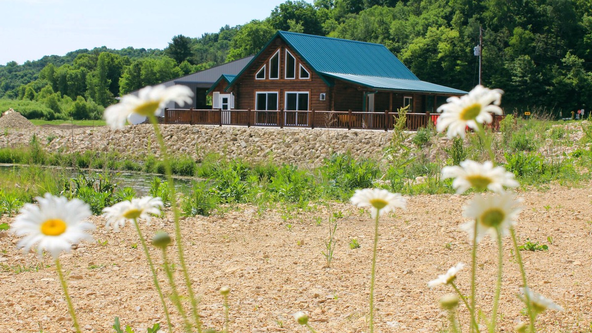 La Farge Cabin | Cozy log cabin with sauna, the perfect year round relaxing getaway! Built 2022