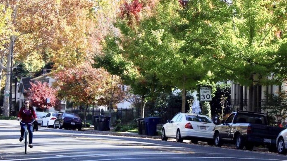 Central Sacramento House | Cozy Modern House, Heart of Midtown! 2 Bedrooms
