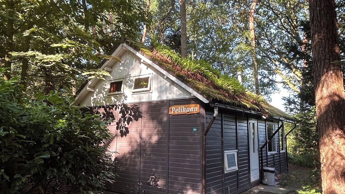 Municipality of Soest House | Cozy nature cottage with beautiful view over the meadow