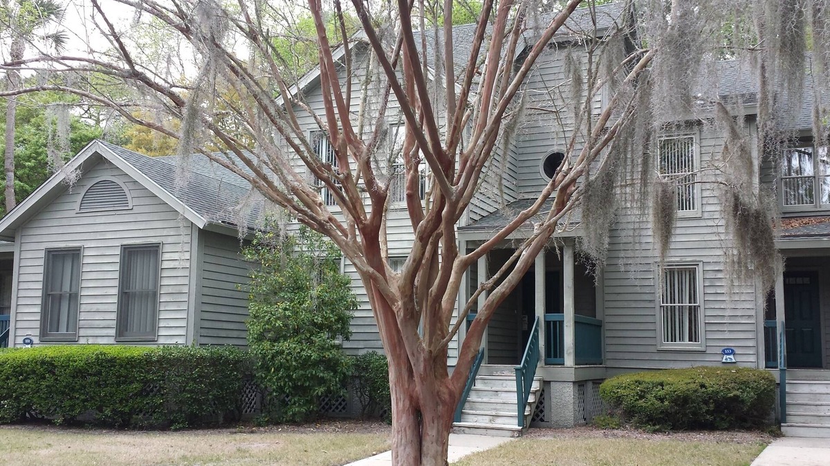 Shipyard Plantation Cottage | Cozy Quiet Cottage in gated bike friendly golf resort minutes from the Beach.