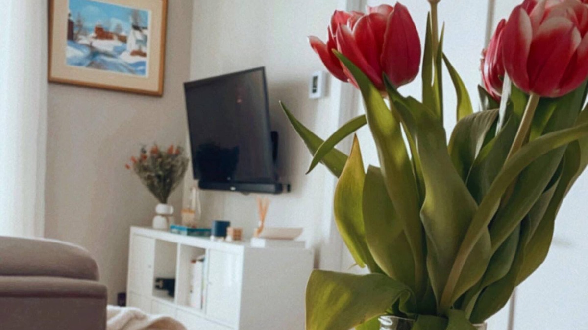 Hochelaga-Maisonneuve Apartment | Cozy stay 1+1 bed in trendy HOMA + easy parking