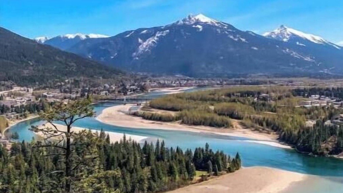 Revelstoke Apartment | Cozy Suites! Great Location! Spirit Bear