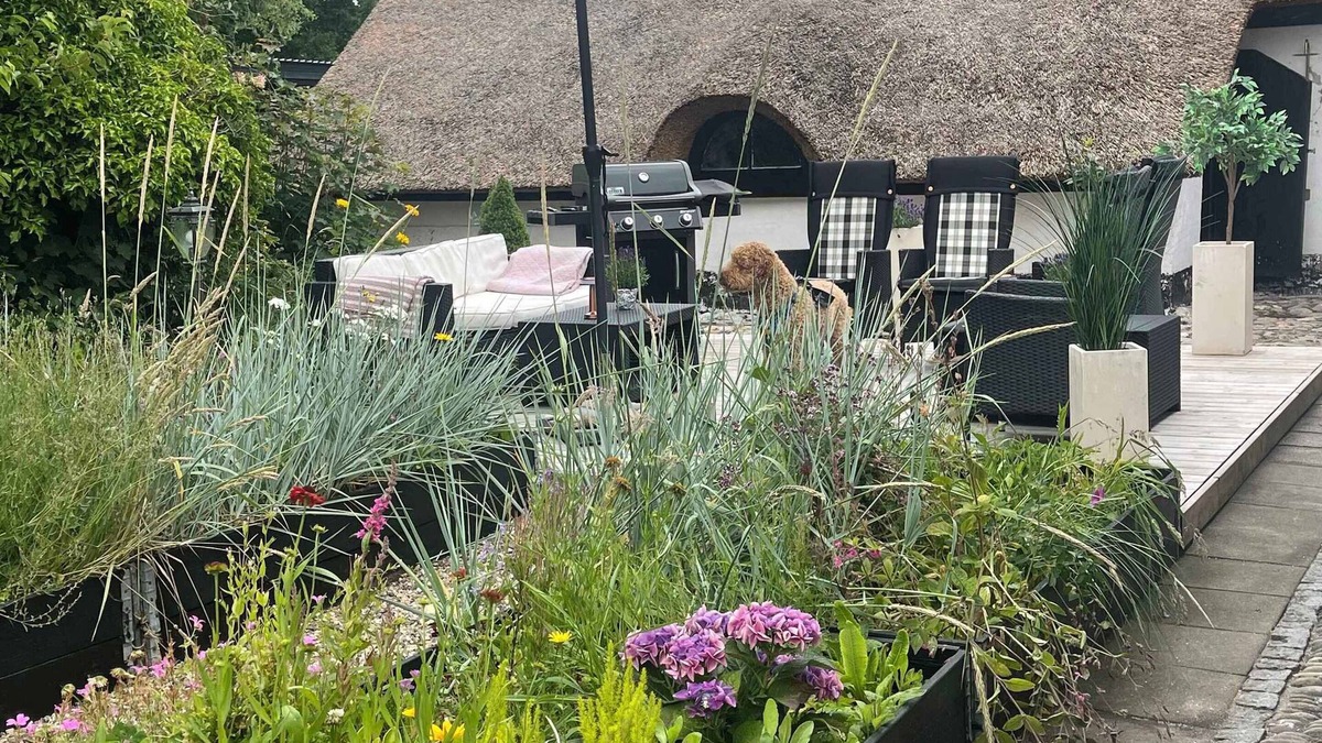 Vedersø House | Cozy thatched cottage near the North Sea