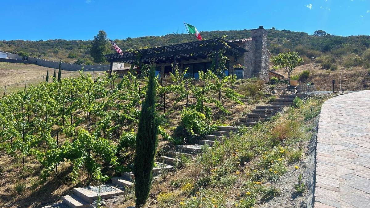 Vista Villa | Cozy Tuscan Villa in Pastoral Landscape of Vista
