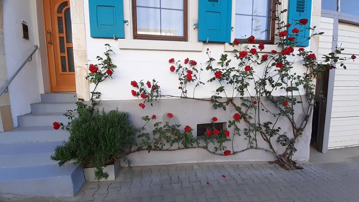 Langenbrucken Other | Cozy vacation apartment with tiled stove, near Heidelberg and the Black Forest