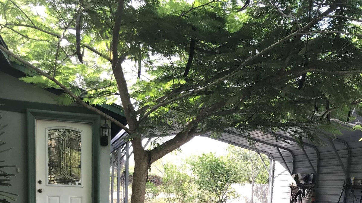 Brownsville House | Cozy Waterfront Hideaway on the Road to SpaceX