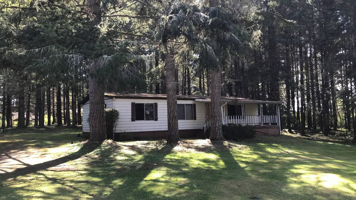 Grapeview House | cozy woods cabin with trail to private beach
