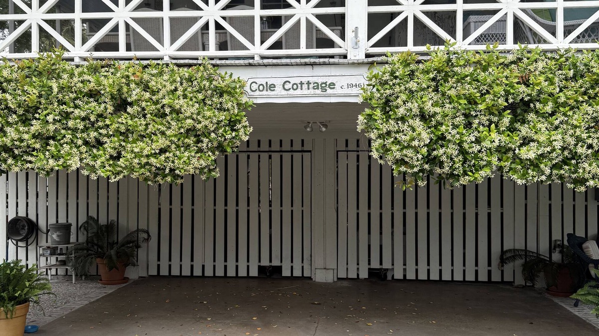 Savannah Beach Cottage | Creating Memories that You Will Long Remember!