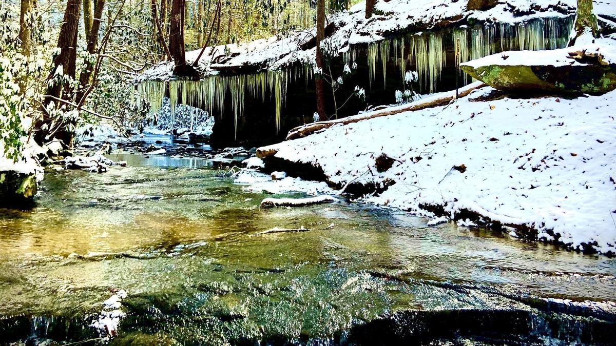Revelo Cabin | Creek side cabin, Blair Creek Resort - Cabin #2
