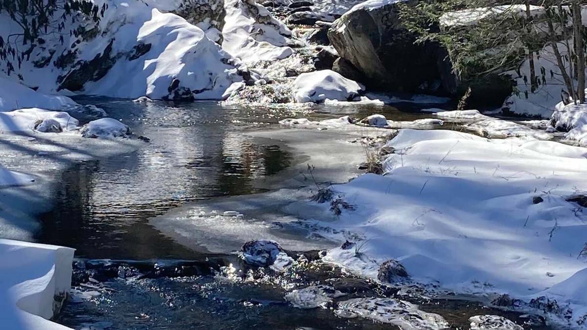 Banner Elk Cottage | Creek Side Cottage in Valle Crucis