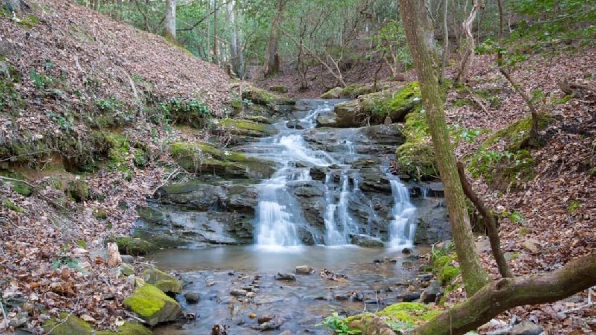 Ellijay Cabin | Creekfront Cabin with Waterfall. Hot Tub, Fire Pit, Gameroom, and more.
