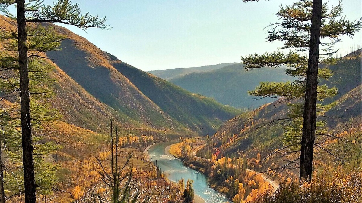 Columbia Falls Cabin | Creekside Cabin ~ Private, Peaceful, and Convenient to Glacier ~ Wonderful Deck!