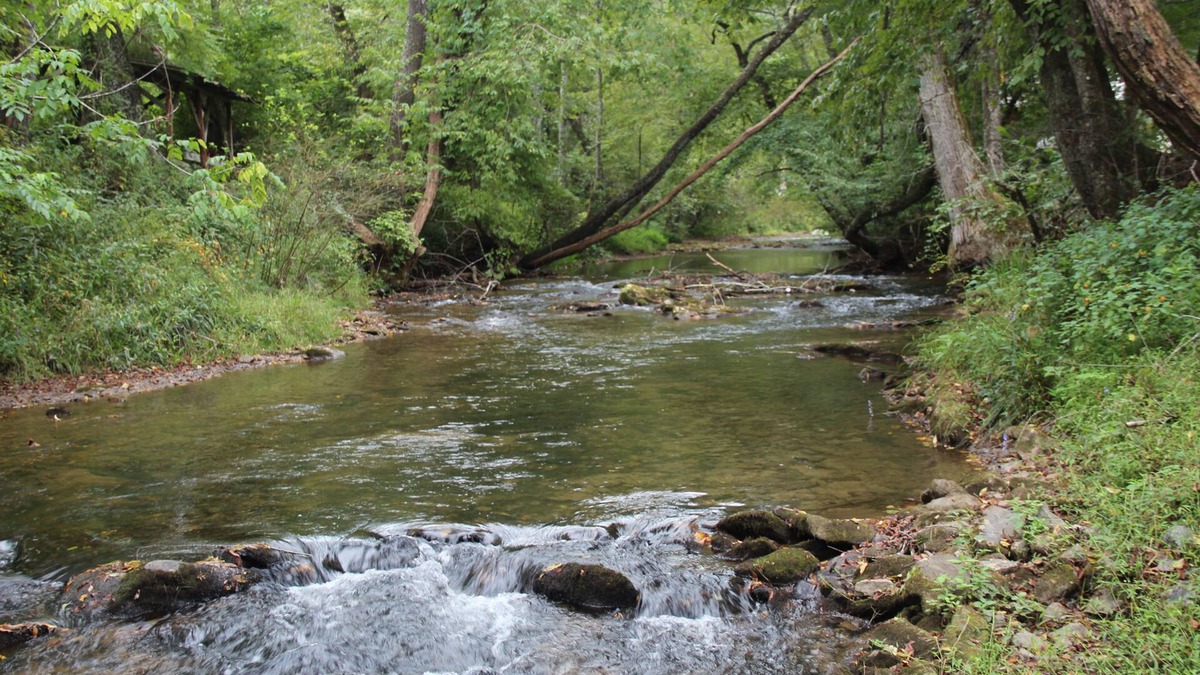 Blue Ridge Cottage | Creekside Cottage just steps from Fightingtown Creek & 10 minutes from downtown.