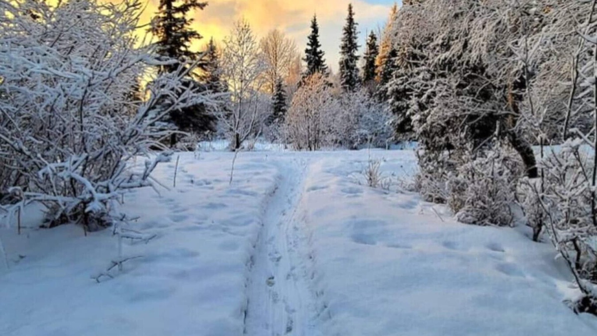 Taku - Campbell House | Creekside Home: Wild Alaska Living Centrally Locat