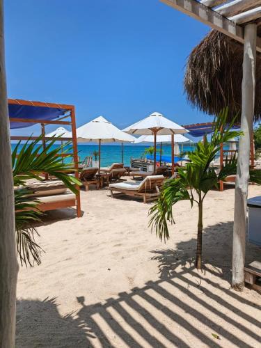 Bocachica Hotel | Cristal Blue Barú