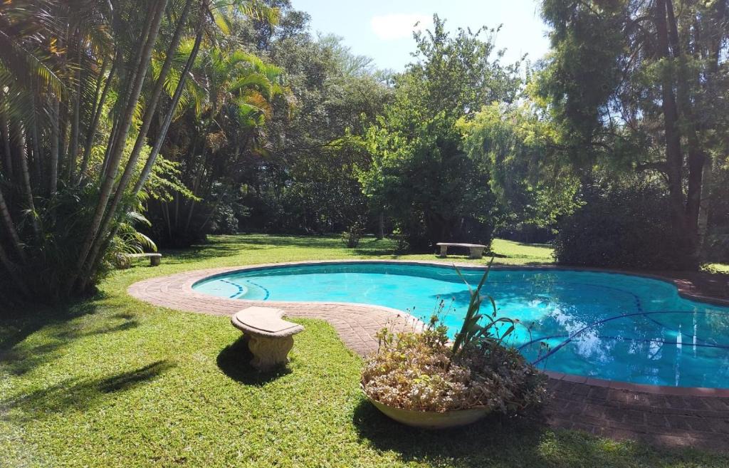 Alkmaar Bed & Breakfast | Crocodile Nest B&B