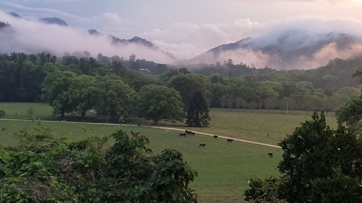 Crystal Creek Cottage | Crystal Creek Cottage- Farm stay