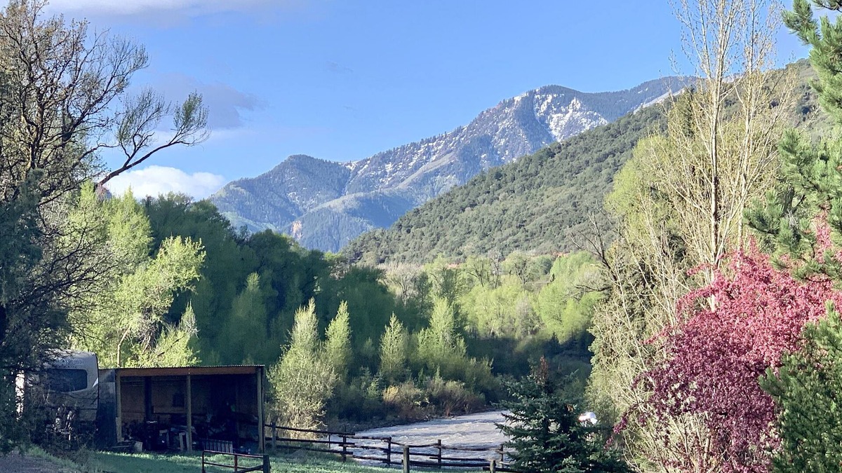 Carbondale House | Crystal River Chalet on 2 acres with over 500ft of river frontage.